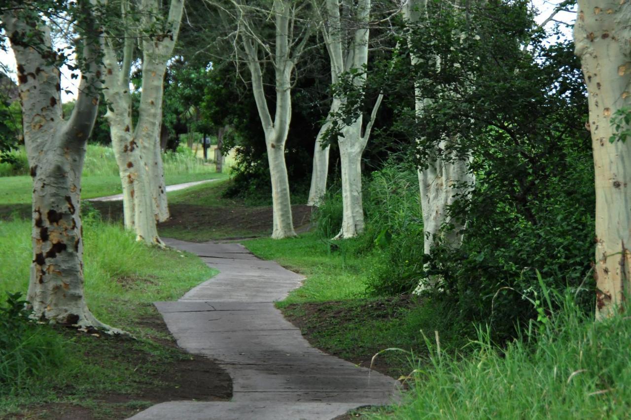 האזיביו Kruger Park Lodge Unit No. 608B מראה חיצוני תמונה